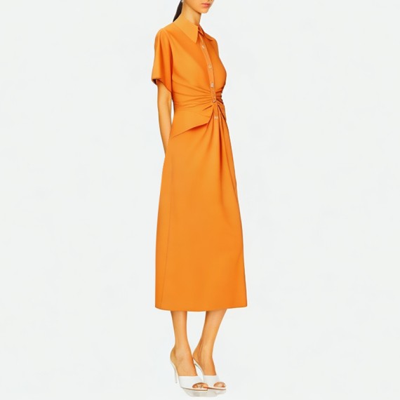 Side Zipper Women's Dress