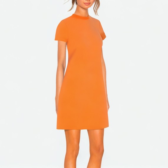 Women's Straight Dress